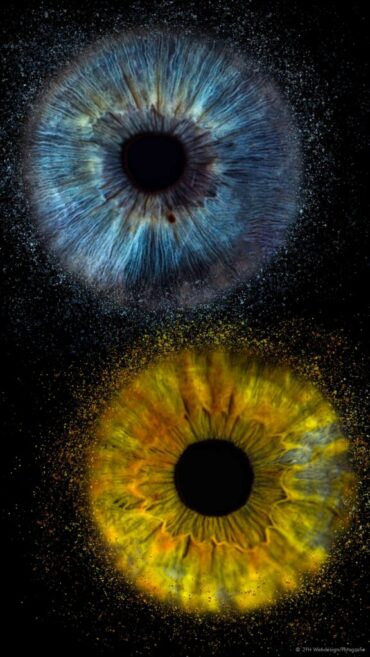 Macro